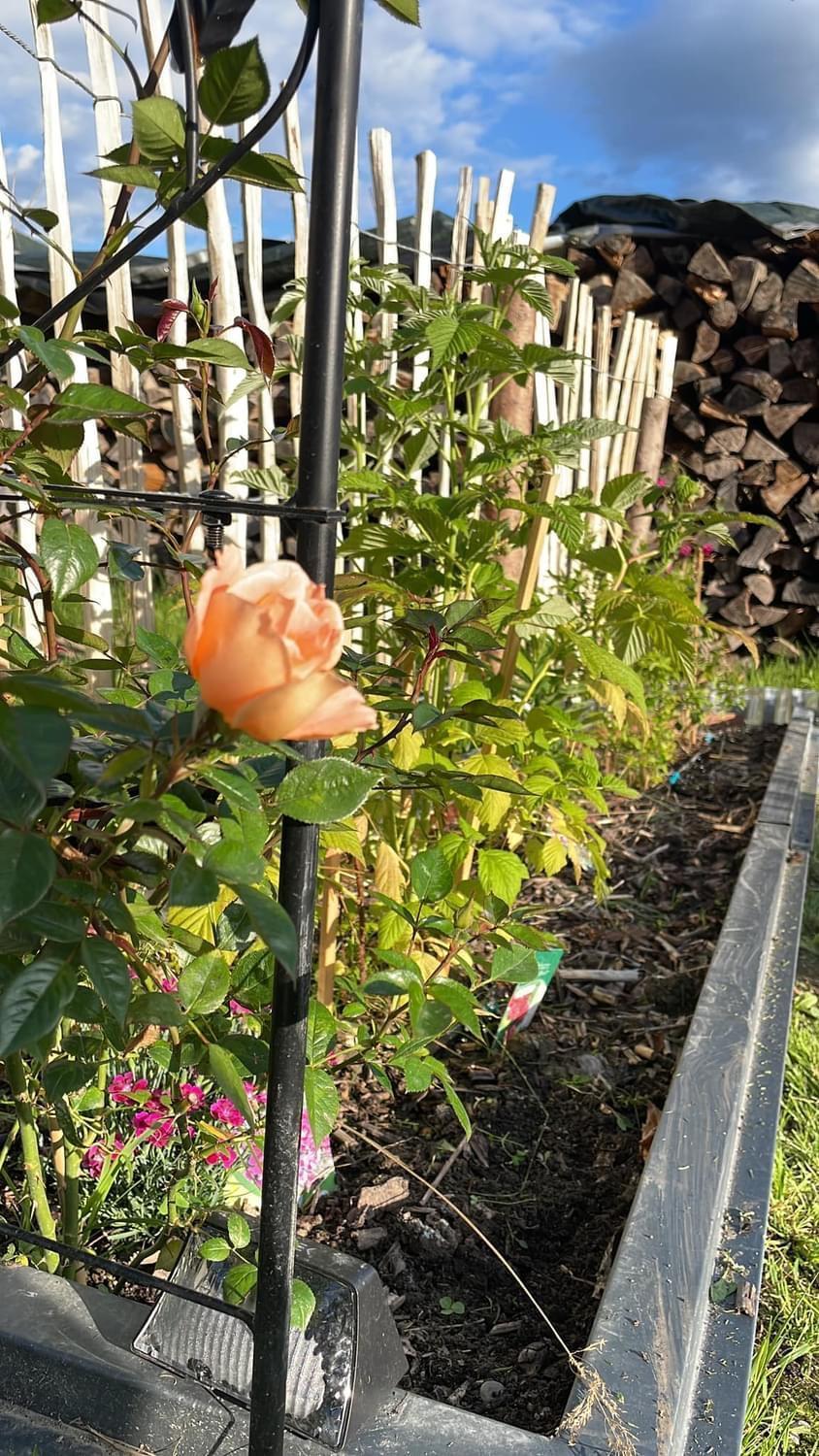 Appartement Buchwald Maishofen Eksteriør bilde